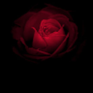 Meet your Posher, Aiden